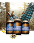 EASY-DAYU | Nervous System, Relaxation and Relaxation
