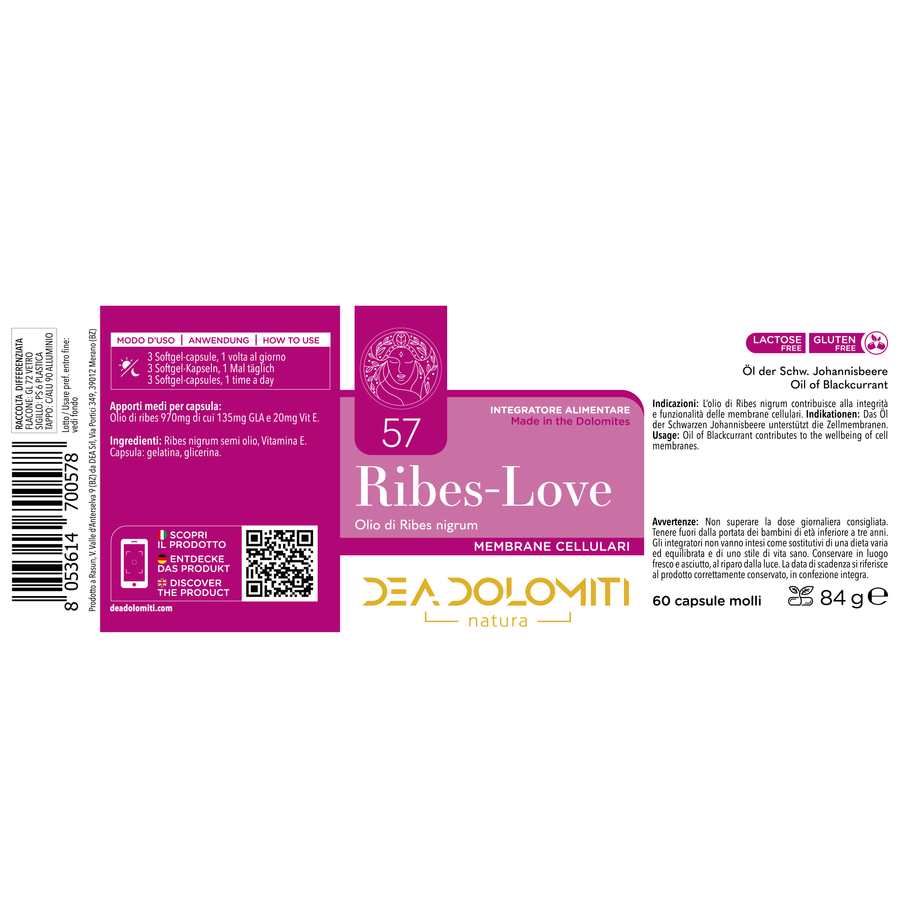RIBES-LOVE | Antiaging and Skin Rejuvenation