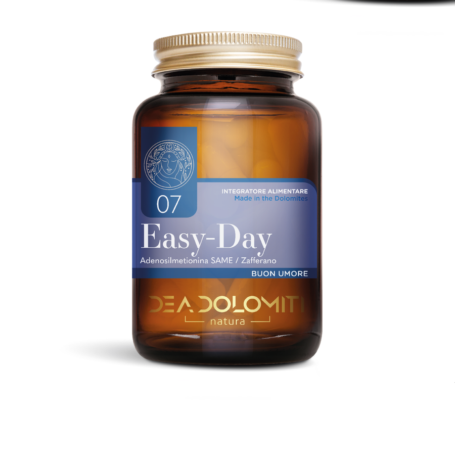 EASY-DAYU | Nervous System, Relaxation and Relaxation